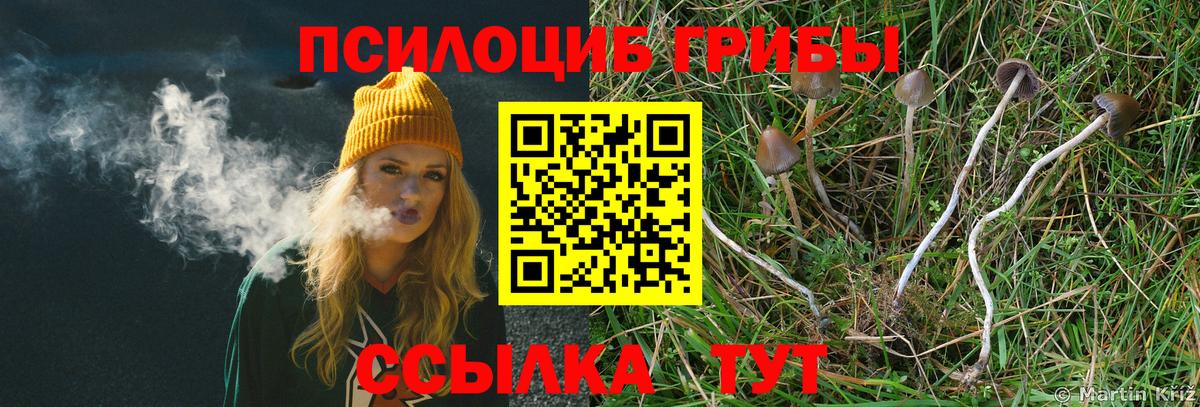 Галлюциногенные грибы прущие грибы Сафоново